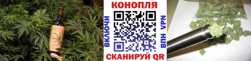 где купить   Гуково  Canna-Cookies конопля 