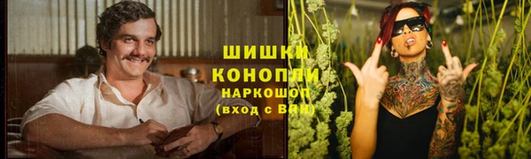 ALPHA PVP Бородино